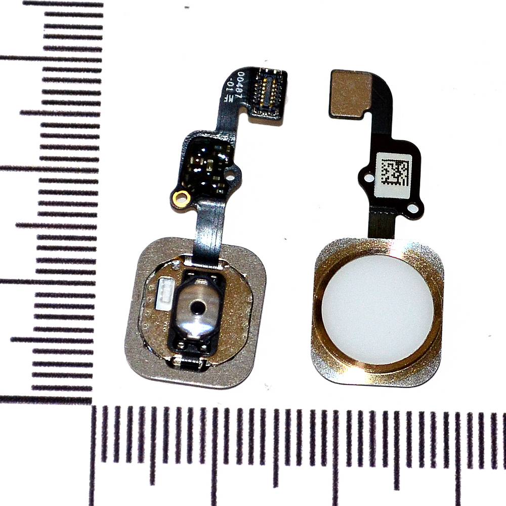 Механизм кнопки HOME iPhone 6S с толкателем и шлейфом золото