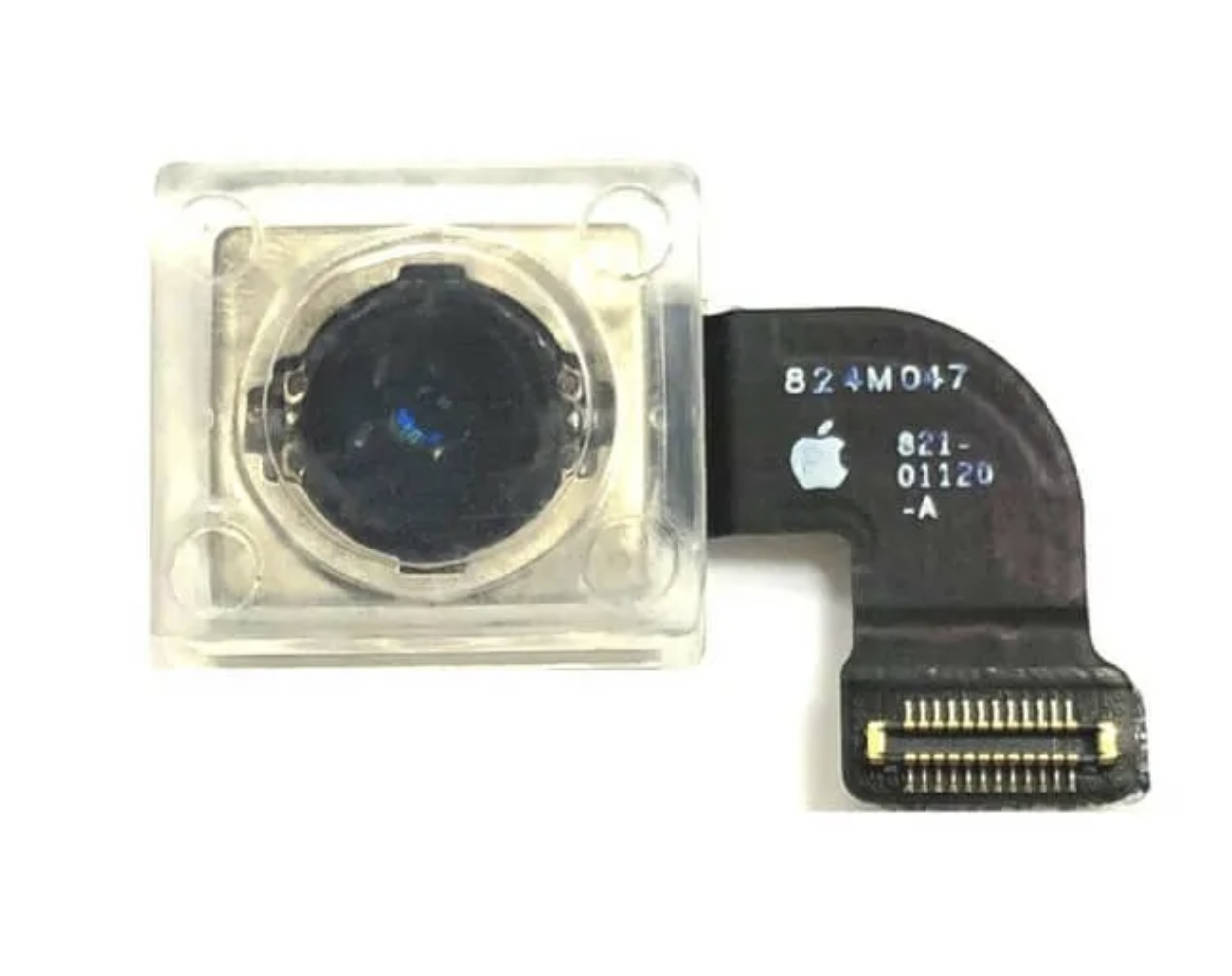 Камера Apple iPhone 8/SE (2020) задняя Original