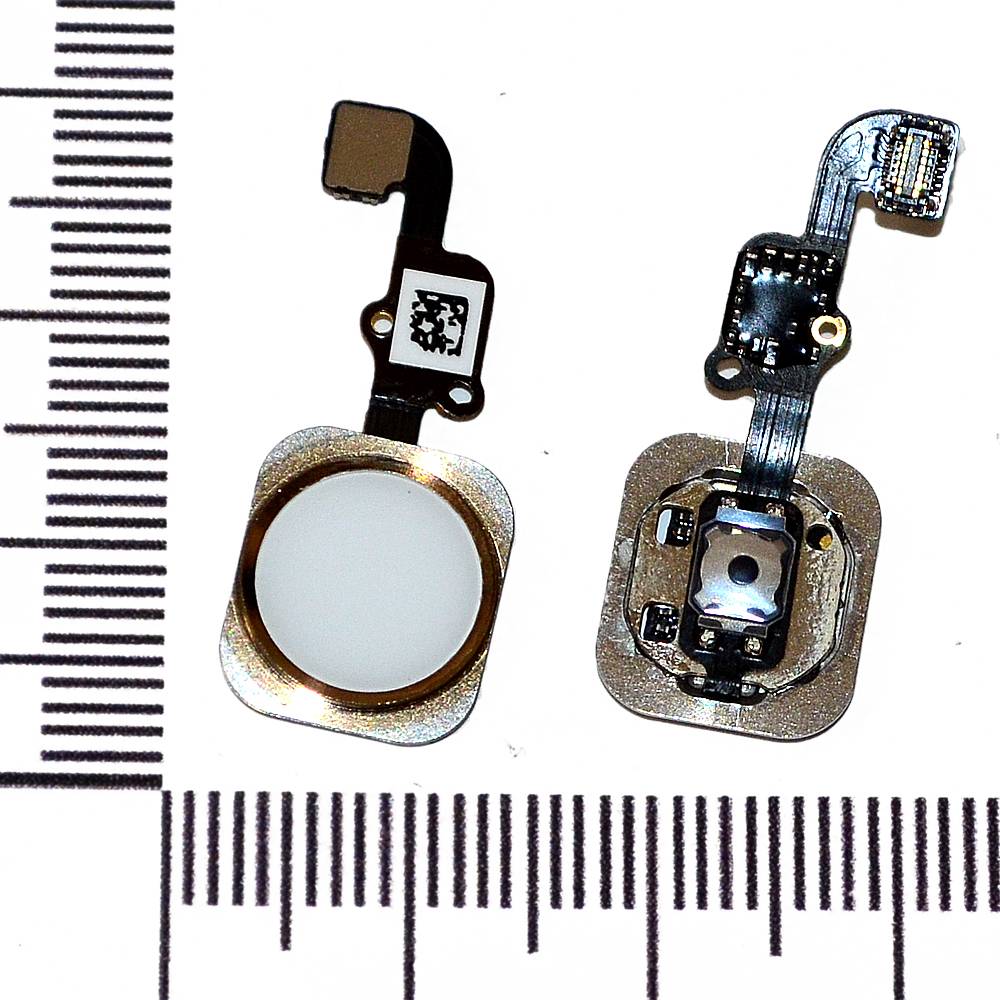 Механизм кнопки HOME iPhone 6/6 Plus с толкателем и шлейфом золото